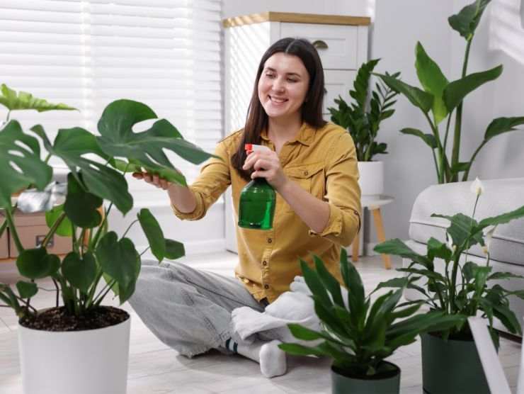 donna che innaffia piante