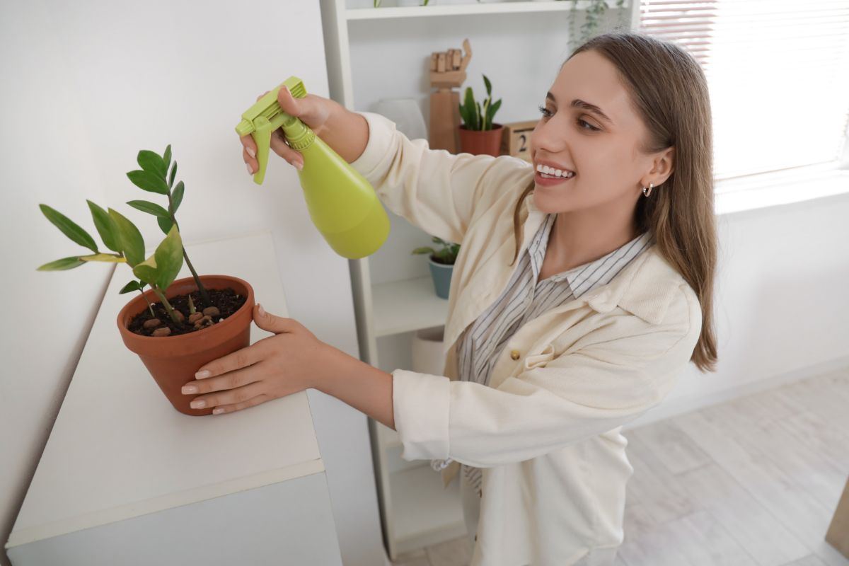 donna che pulisce pianta